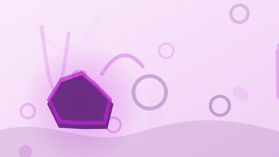 赏金女王APP下载来源失效主题插画