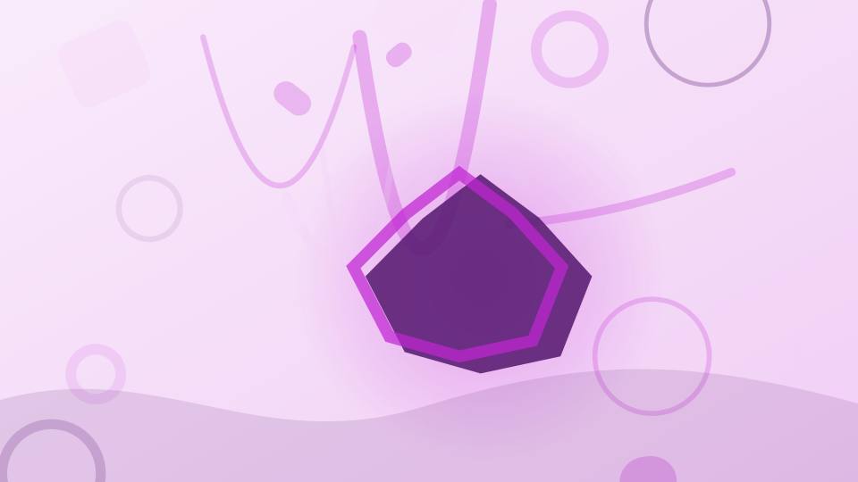 赏金女王APP下载修订说明主题插画